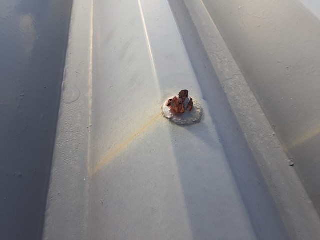 折半屋根のボルトは錆びていました